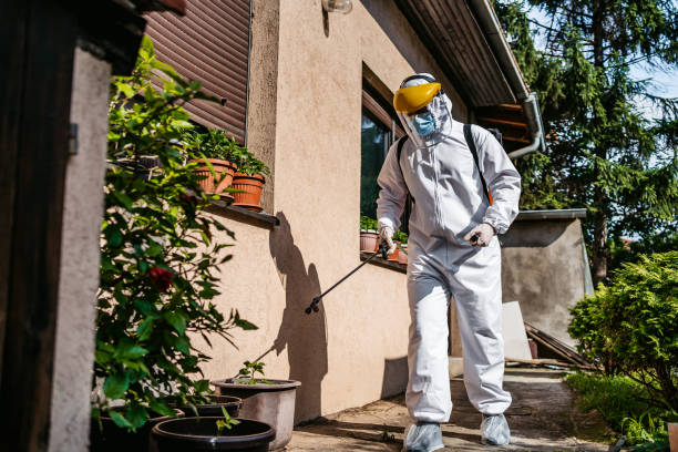 Reliable Lillington, NC Pest Control Solutions