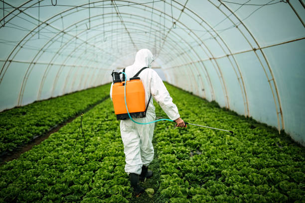 Best Commercial Pest Control Services  in Lillington, NC