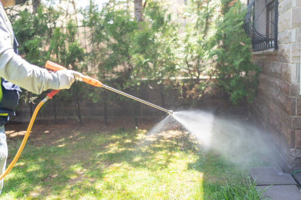 Best Best Pest Control Companies  in Lillington, NC