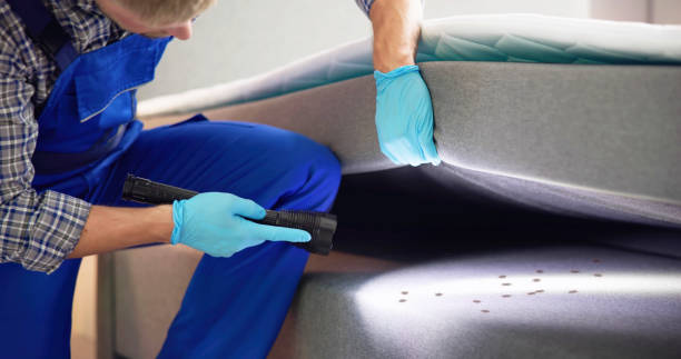 Best Cockroach Control Services  in Lillington, NC