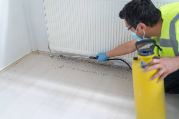 Best Cockroach Control Services  in Lillington, NC