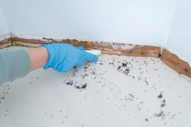 Best Pest Prevention Services  in Lillington, NC