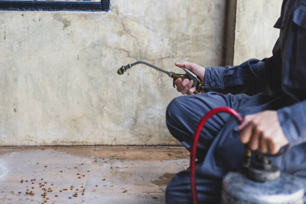 Best Ant Control Services  in Lillington, NC